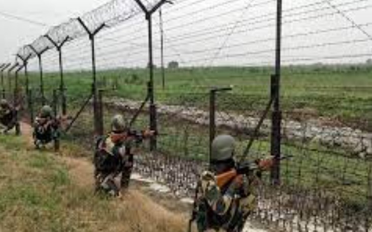 Intruder might have been sent to test troops' alertness: BSF IG on infiltration bid in J&K