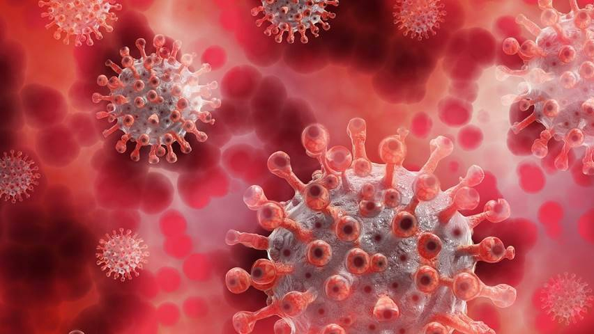 India reports first 6 cases of new coronavirus strain after UK returnees test positive