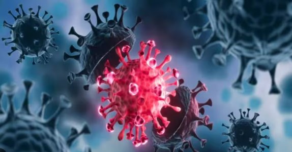 India records over 1,500 fresh Covid cases, highest in 146 days