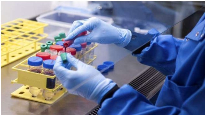 Phase 2 human trial of Oxford vaccine likely to begin today