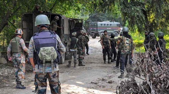 Awantipora Police arrests terrorist associate; arms and ammunition recovered