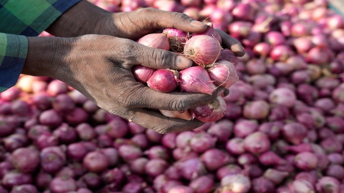 India bans onion exports till March next year