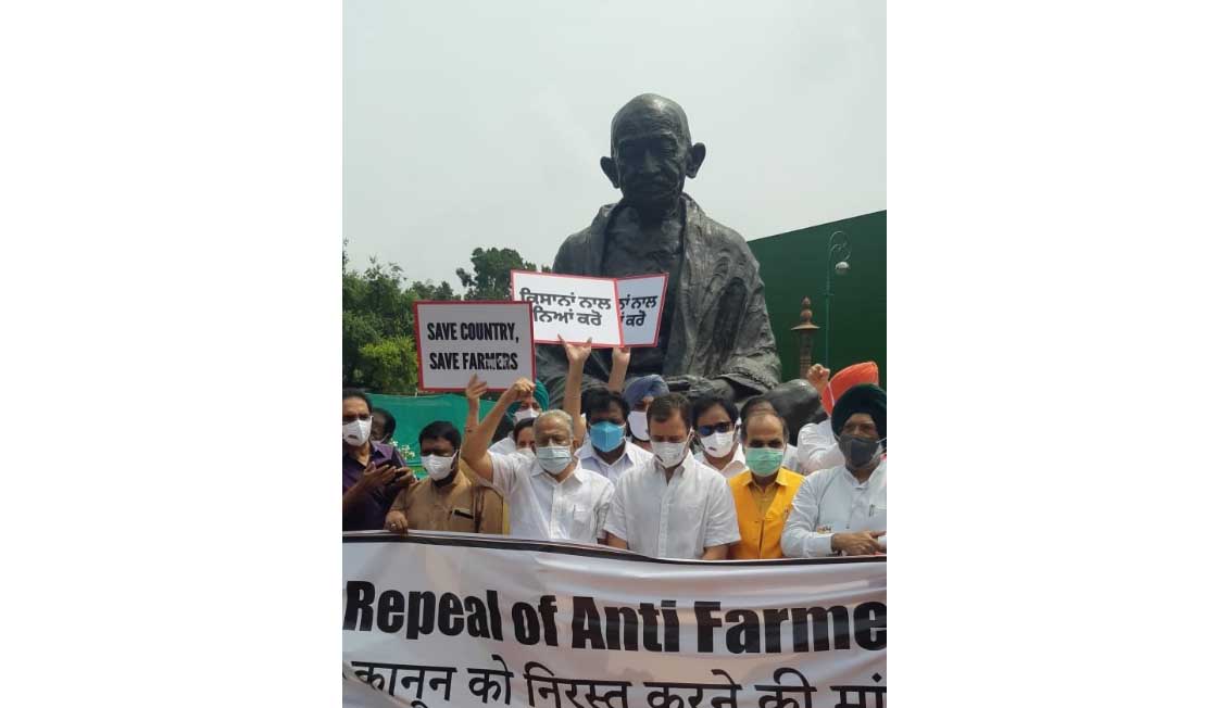 Rahul Gandhi, Congress MPs protest inside Parliament complex, demand repeal of new farm laws