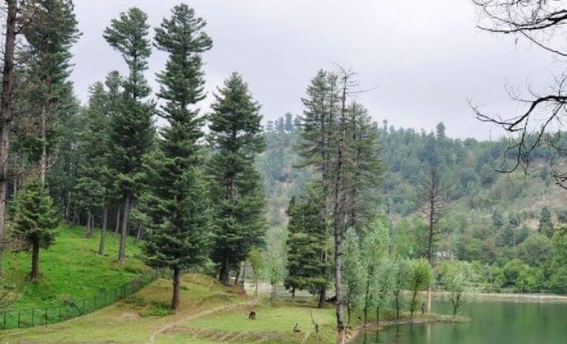 PCCF reviews preparedness of Forest Department for Implementation of Forest Rights Act, 2006