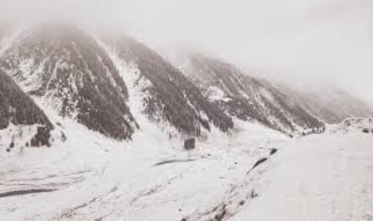 Amid wet weather forecast, Kashmir’s upper reaches receive light snowfall