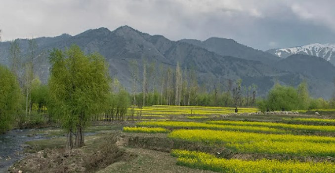 Div Com reviews progress on demarcation of JDA, State land