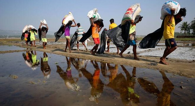 Rohingyas living in J&K, 11 States
