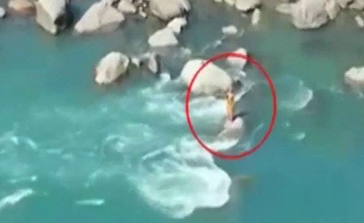 Woman jumps into Chenab river in Jammu, rescued