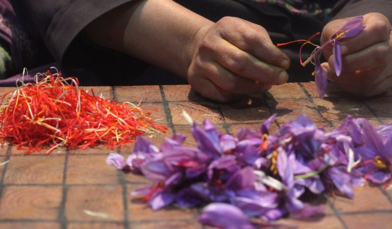 First high-tech spice park ready to facilitate saffron growers in J&K