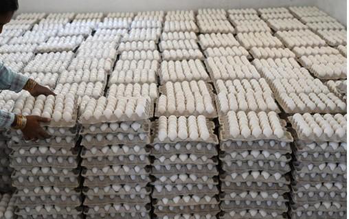 J&K Govt orders Probe into alleged adulterated Eggs in Market