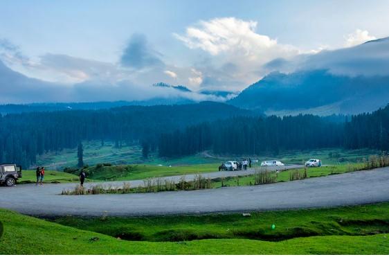 J&K Govt links Doodpathri, Yousmarg reopening to security clearance