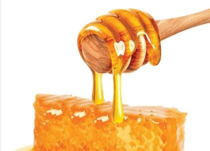 PM Modi highlights GI-Tagged Sulai Honey of Ramban in ‘Mann Ki Baat’