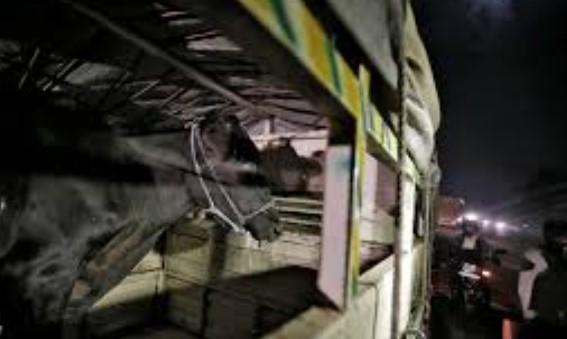 SPO Injured as Police Team Attacked During Anti-Bovine Smuggling Operation in Jammu