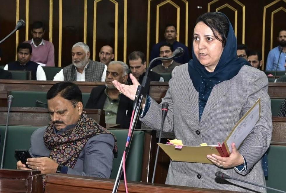 Revenue deptt develops online portal for public ease: Sakeena Itoo