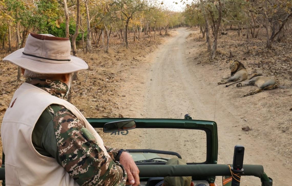 PM Modi goes on lion safari at Gir Wildlife Sanctuary in Gujarat on World Wildlife Day