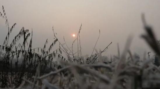 Sgr records season’s coldest night at minus 1.6°C