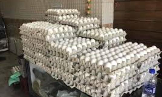 Egg samples in Srinagar found safe, meet FSSAI standards: Officials