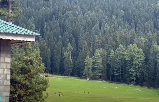 NIA seeks public's help in Pahalgam attack probe, appeals for photos and videos