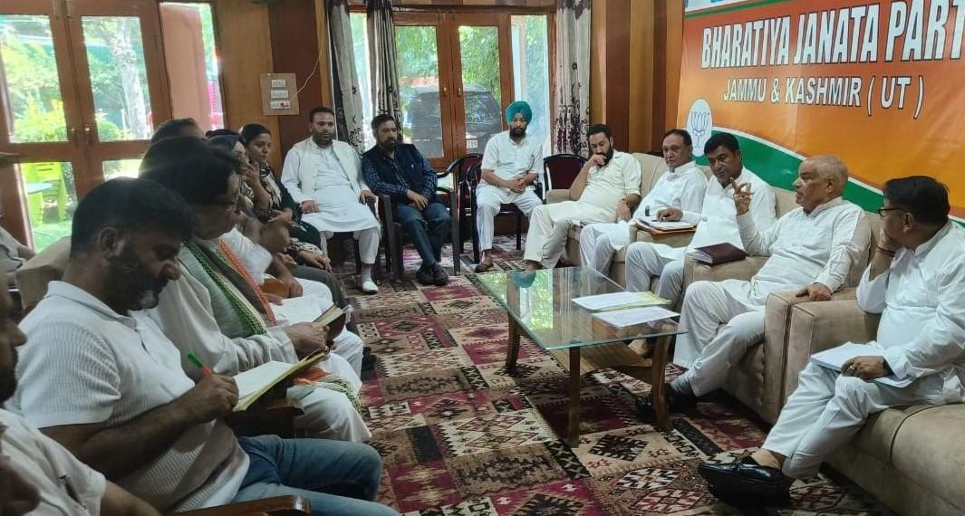 BJP has earned people’s trust in Kashmir: Ashok Koul
