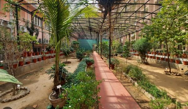 Union Ministry for Ayush approves 100 School Herbal Gardens for Jammu Division