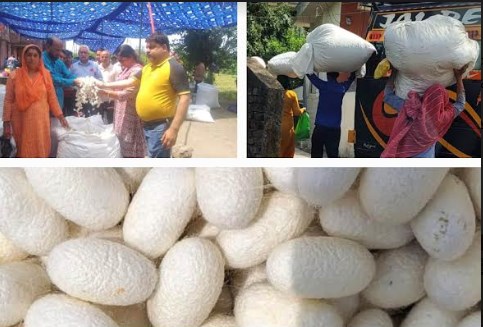 Reasi emerging as leading district in Sericulture sector: DG Sericulture