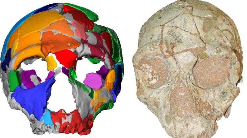 210000 year old skull identifies as the earliest modern human remains