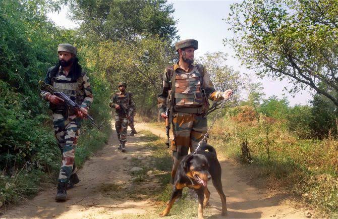 Sniffer Dogs deployed to track Militants in Kishtwar