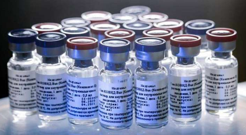 Sputnik V, Russia's coronavirus vaccine, arrives in India for human clinical trial
