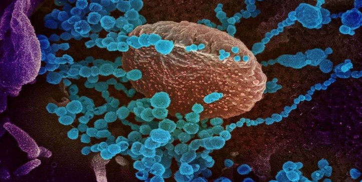 J&K reports first two cases of new UK COVID-19 strain