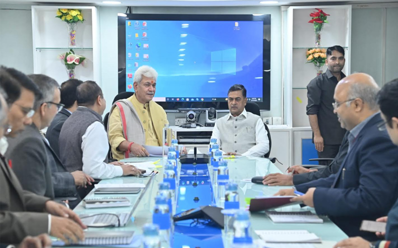 Lieutenant Governor Meets Union Power Minister