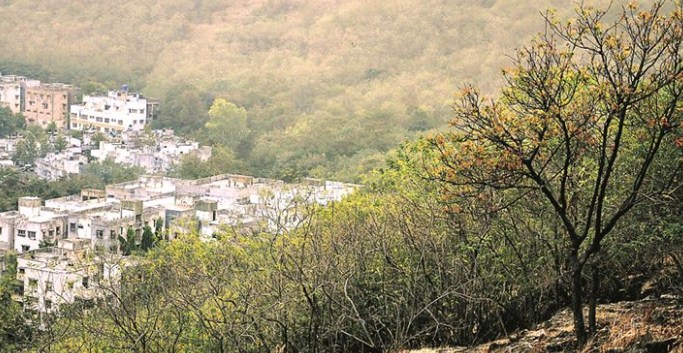 J&K administration sets–up district-level committees for retrieval of forestland under encroachment