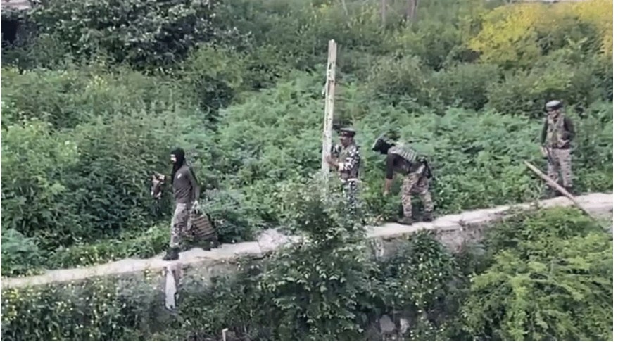 In unique rescue operation, CRPF team saves dog from drowning in Jhelum river in J&K