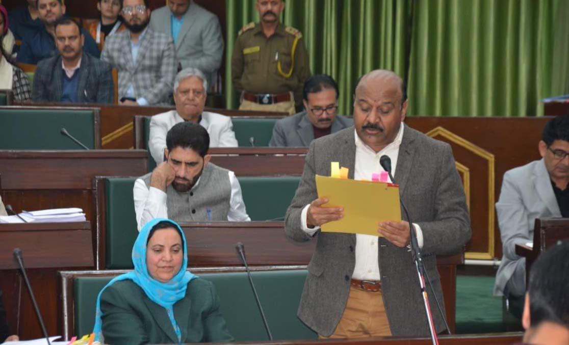 Govt considering 5 marla land allotment to Bagra flood victims: Deputy CM