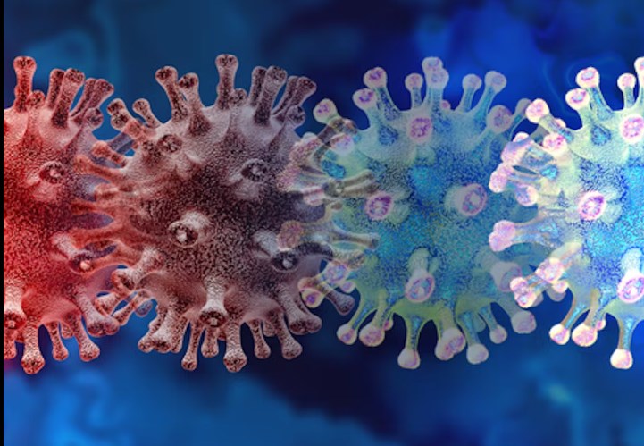 New Omicron variants not causing significant rise in hospitalisations: Experts