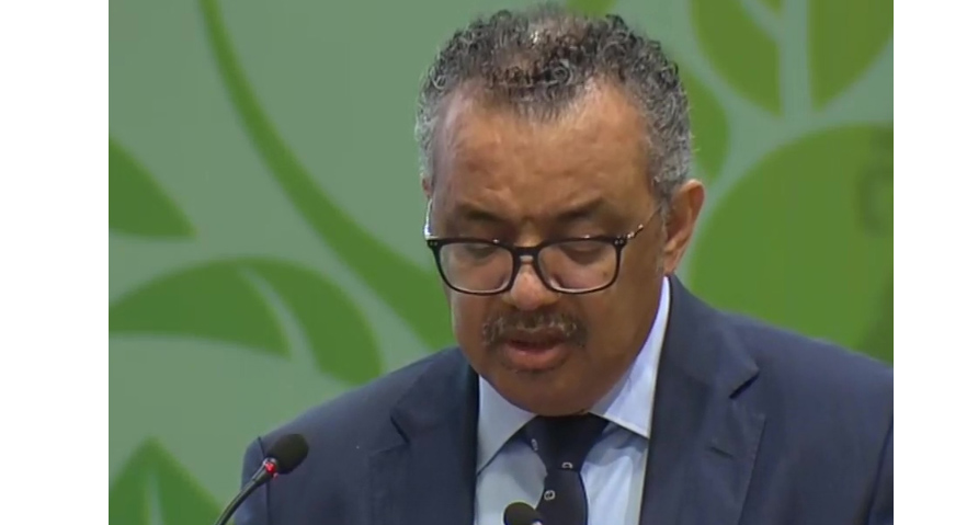 Investments needed to support innovation in traditional medicine: WHO chief