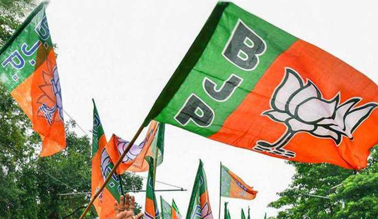 Jammu and Kashmir DDC election: Irani, Naqvi among BJP star campaigners; 352 nominations filed for first phase
