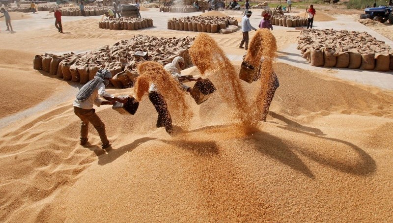 UAE suspends exports and re-exports of Indian wheat for four months