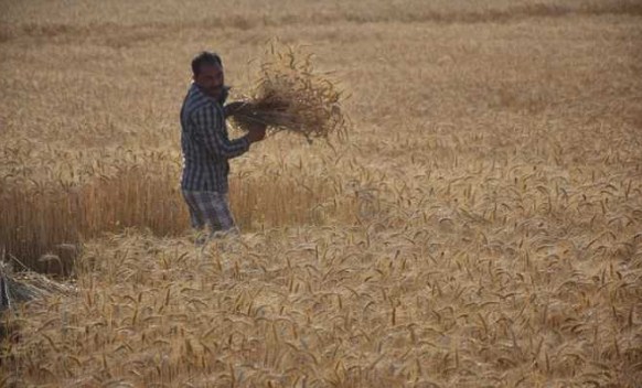 Facilitate farmers in harvesting their crop during restriction: Navin Choudhary