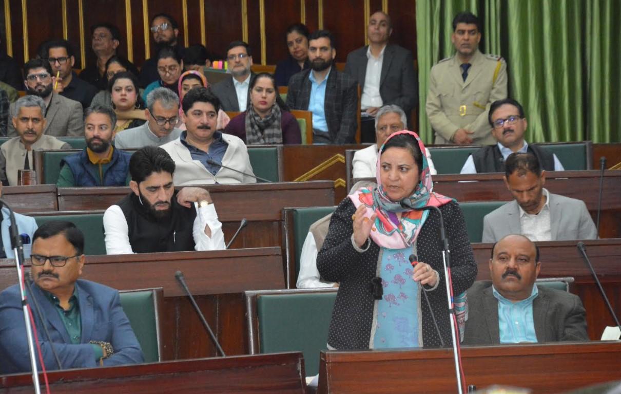 1298.28 kanal land identified for establishment of 9 townships in J&K: Sakeena Itoo